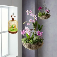 MUSIC PINJRA BIRD, Fizzytech Singing & Chirping Bird Toy in Cage | Touch-Sensor Musical Bird, Battery Operated Educational Toy for Kids | Cute Home Decor & Garden Decoration Gift(2708)