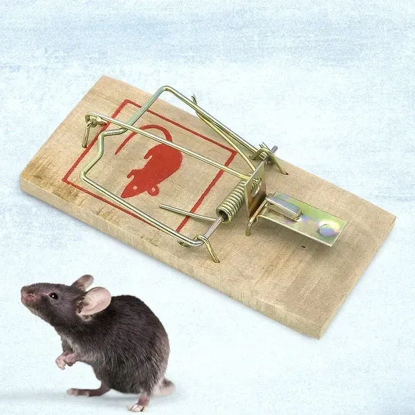 WOODEN MOUSE Wooden Mouse Trap – Reusable Rat Rodent Catcher for  Home, Kitchen, Garden Warehouse – Easy to Set Effective Pest