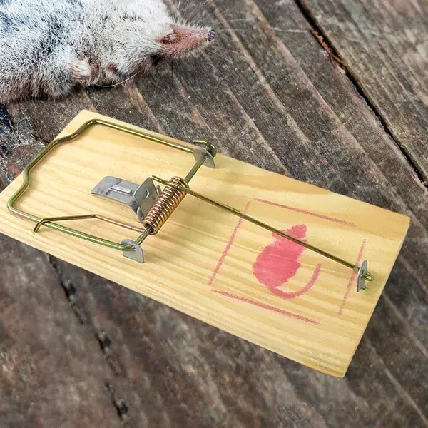 WOODEN MOUSE TRAP. Wooden Mouse Trap – Reusable Rat & Rodent Catcher for Home, Kitchen, Garden & Warehouse – Easy to Set & Effective Pest Control(2629)