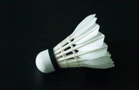 SHUTTLECOCKS LOOSE,  Loose Shuttlecocks – Durable & High-Performance for Every Game (1461)