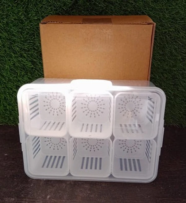 6GRID STORAGE CONTAINER 6-In-1 Kitchen Scallion Storage Box Grid, 