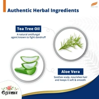 Himalaya Anti - Dandruff Tea Tree Shampoo - 180 Ml + (FREE Himalaya Neem & Turmeric Soap - 75 Gm)