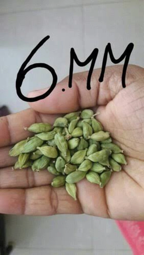Bold Green Cardamom 6mm 