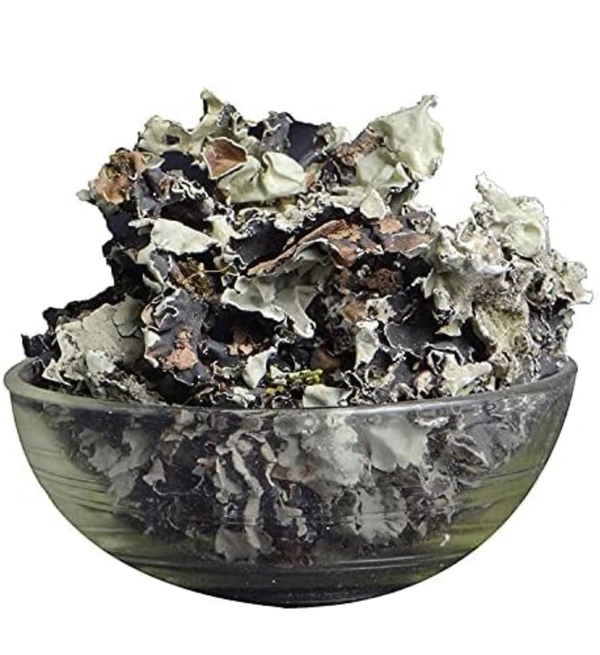 Stone Flower Spice (Dagad Phool, Kalpasi, Patthar Ke Phool) - 50 Grams