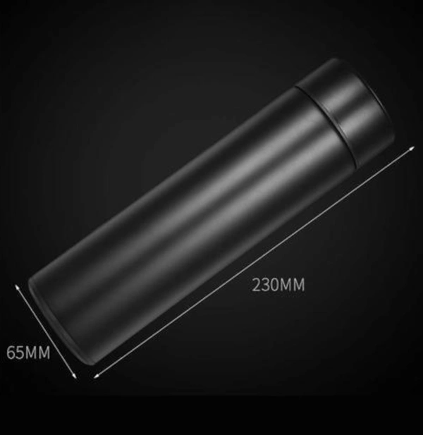 Temperature Water Bottle 