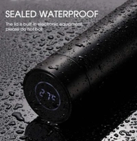 Temperature Water Bottle 