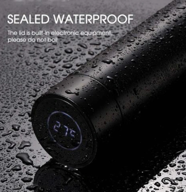 Temperature Water Bottle 