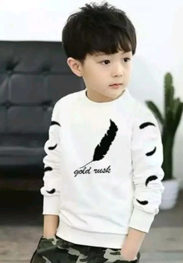Boys Full Sleeve Tshirt  - 15-16y