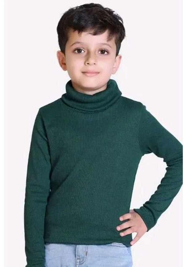Highneck Ribbed For Boys  - 7y