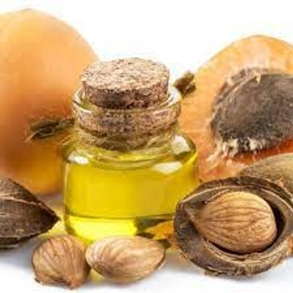 Apricot Oil - 15 ml