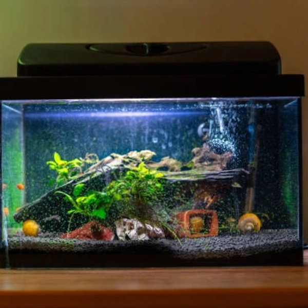 Aquarium  With Top - 2feet