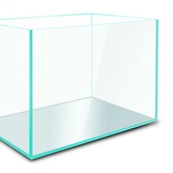 Aquarium 1 Feet - With Top