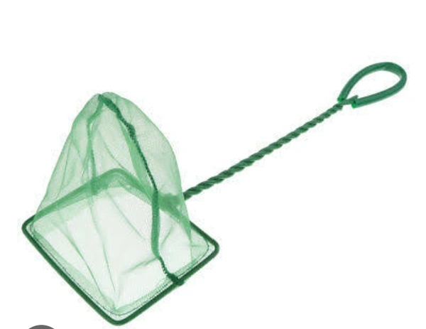 Fish Net (6"Inches)