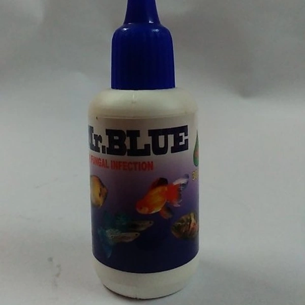 Mr Blue 