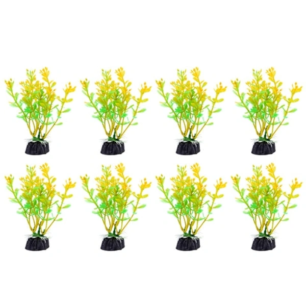 Plastic Plants 