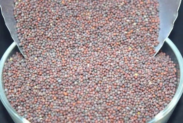 সরষে