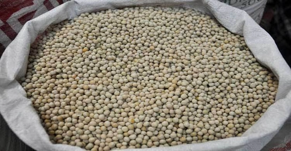 মটর কড়াই - 100gm