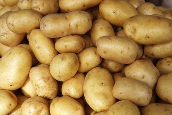 আলু - 500 gm