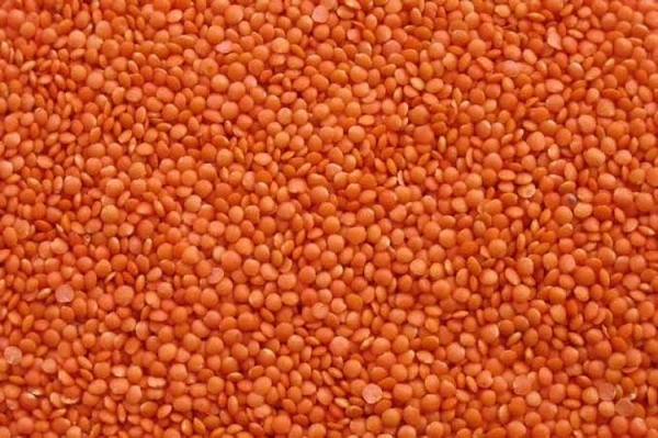 গোটা মুশুর ডাল - 500gm