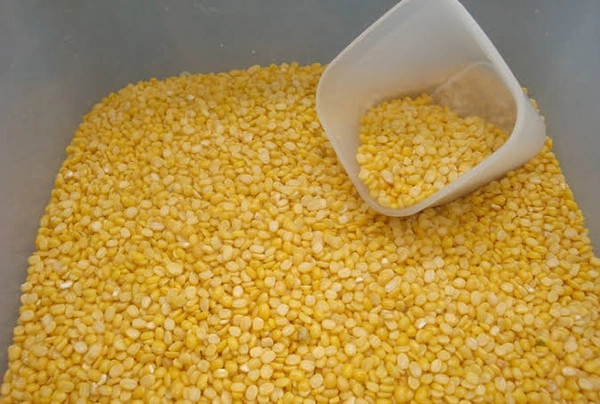 চেলা খেঁশারি ডাল - 100gm