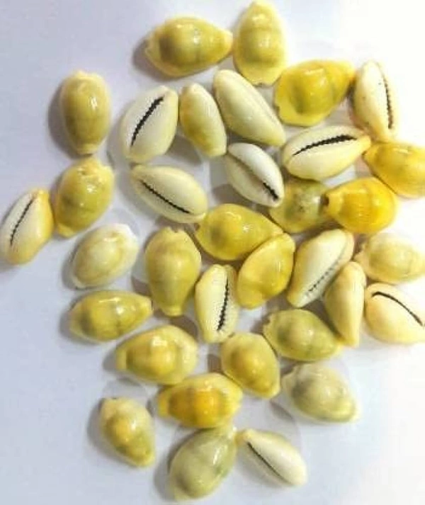 Lakshmi gavvalu (లక్ష్మి గవ్వలు) - Small 108 Pieces