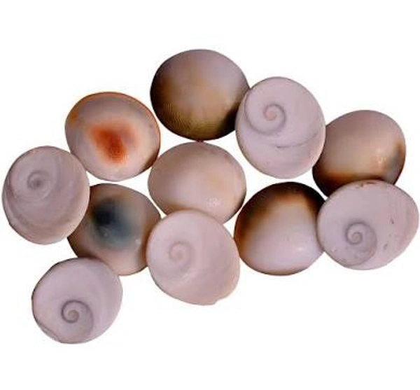 Gomati Chakras (గోమతి చక్రాలు) - 108 Pieces