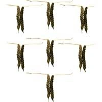 Balamuri Yedamuri/Balamudi Yedamudi (Marod Phali)(బాలముడి ఎడముడి) - 1 Pair