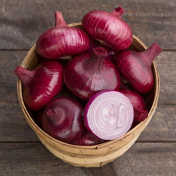 Onion प्याज 500g