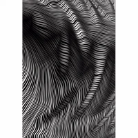 Shopnav Apple iphone Xs Max Zebera Lines Texture Effect Mobile Case Cover