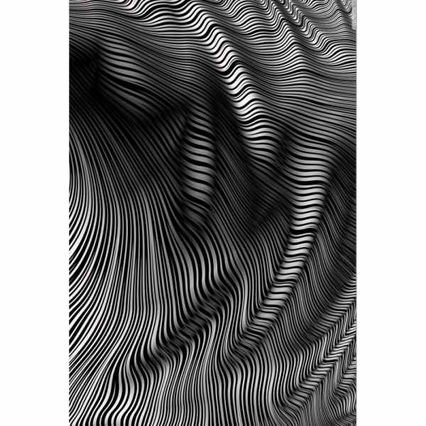 Shopnav Apple iphone Xs Max Zebera Lines Texture Effect Mobile Case Cover