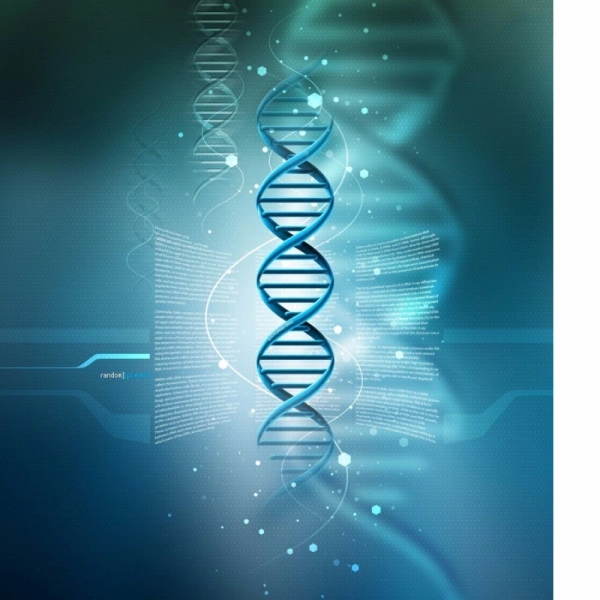 Shopnav Apple iphone XR DNA Structure model Mobile Case Cover