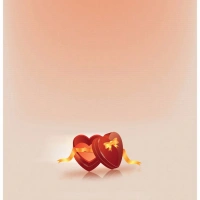Apple iphone Xs Max Love Gift box opening Mobile Case Cover