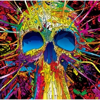 Shopnav Samsung Galaxy M40 Skull illustration Effect Mobile Case Cover - Multi, Hard Case, 0.25, Digital Art