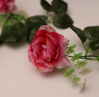 Artificial Dark Pink White Filler Rose Vines Flowers Plants Artificial Flower Creeper Hanging Rose For Home Decoration (Color: DarkPink, Material: Silk Polyester) - 8 Feet, 0.1, Darkpink