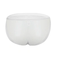 Men's Mesh Power Net Men Transparent Briefs Underwear White - White, 0.15, Transparent Brief, L