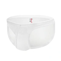 Men's Mesh Power Net Men Transparent Briefs Underwear White - White, 0.15, Transparent Brief, L