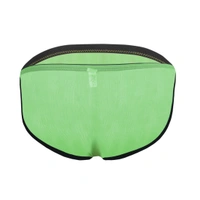 Men's Mesh Power Net Transparent Sexy Brief Underwear Green - Green, 0.15, Transparent Briefs, L