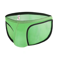 Men's Mesh Power Net Transparent Sexy Brief Underwear Green - Green, 0.15, Transparent Briefs, L