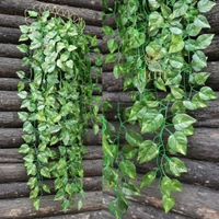 Pack Of 3 Silk Polyester Artificial Money Plant Leaf Vine Hanging Garland Foliage Flowers Leaf Plants For Wall Decoration (Color: Green,Length: 15 Feet) - 15 Feet, 0.3, Green