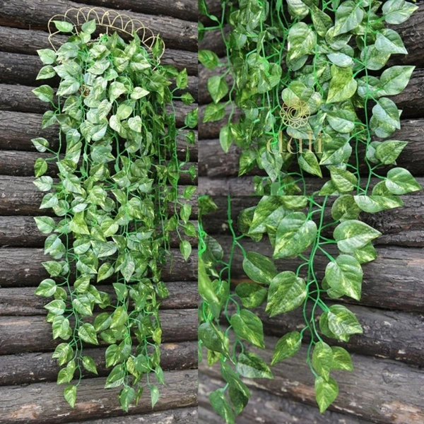 Pack Of 3 Silk Polyester Artificial Money Plant Leaf Vine Hanging Garland Foliage Flowers Leaf Plants For Wall Decoration (Color: Green,Length: 15 Feet) - 15 Feet, 0.3, Green