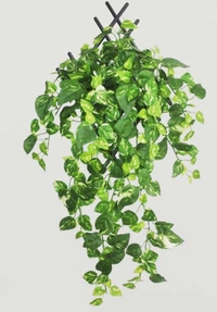 Pack Of 3 Silk Polyester Artificial Money Plant Leaf Vine Hanging Garland Foliage Flowers Leaf Plants For Wall Decoration (Color: Green,Length: 15 Feet) - 15 Feet, 0.3, Green