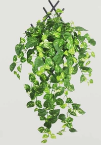Pack Of 5 Silk Polyester Artificial Money Plant Leaf Vine Hanging Garland Foliage Flowers Leaf Plants For Wall Decoration (Color: Green,Length: 15 Feet) - 15 Feet, 0.5, Green