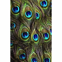 Shopnav One Plus 6T Beautiful Peocock Tail Mobile Case Cover - Green, 0.25, Birds
