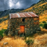 Shopnav Honor 8X Old Age Home Mobile Case Cover - Multi, 0.25, Nature