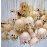 Shopnav Redmi 6 Pro Candle Art Wallpaper Mobile Case Cover