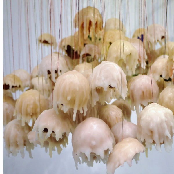 Shopnav Redmi 6 Pro Candle Art Wallpaper Mobile Case Cover