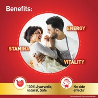 Zandu Vigorex Gold Ayurvedic Daily Energizer -Pack of 12 Capsules