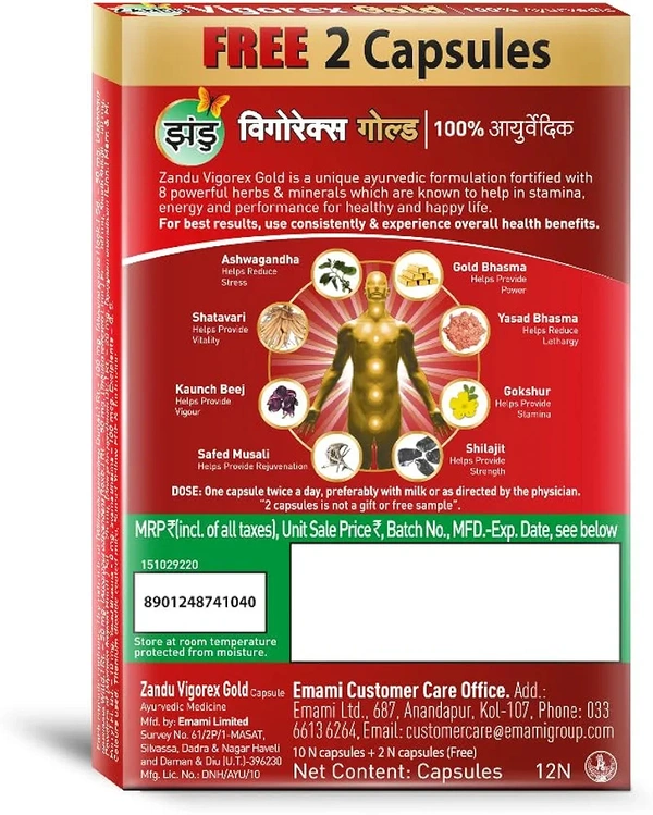 Zandu Vigorex Gold Ayurvedic Daily Energizer -Pack of 12 Capsules