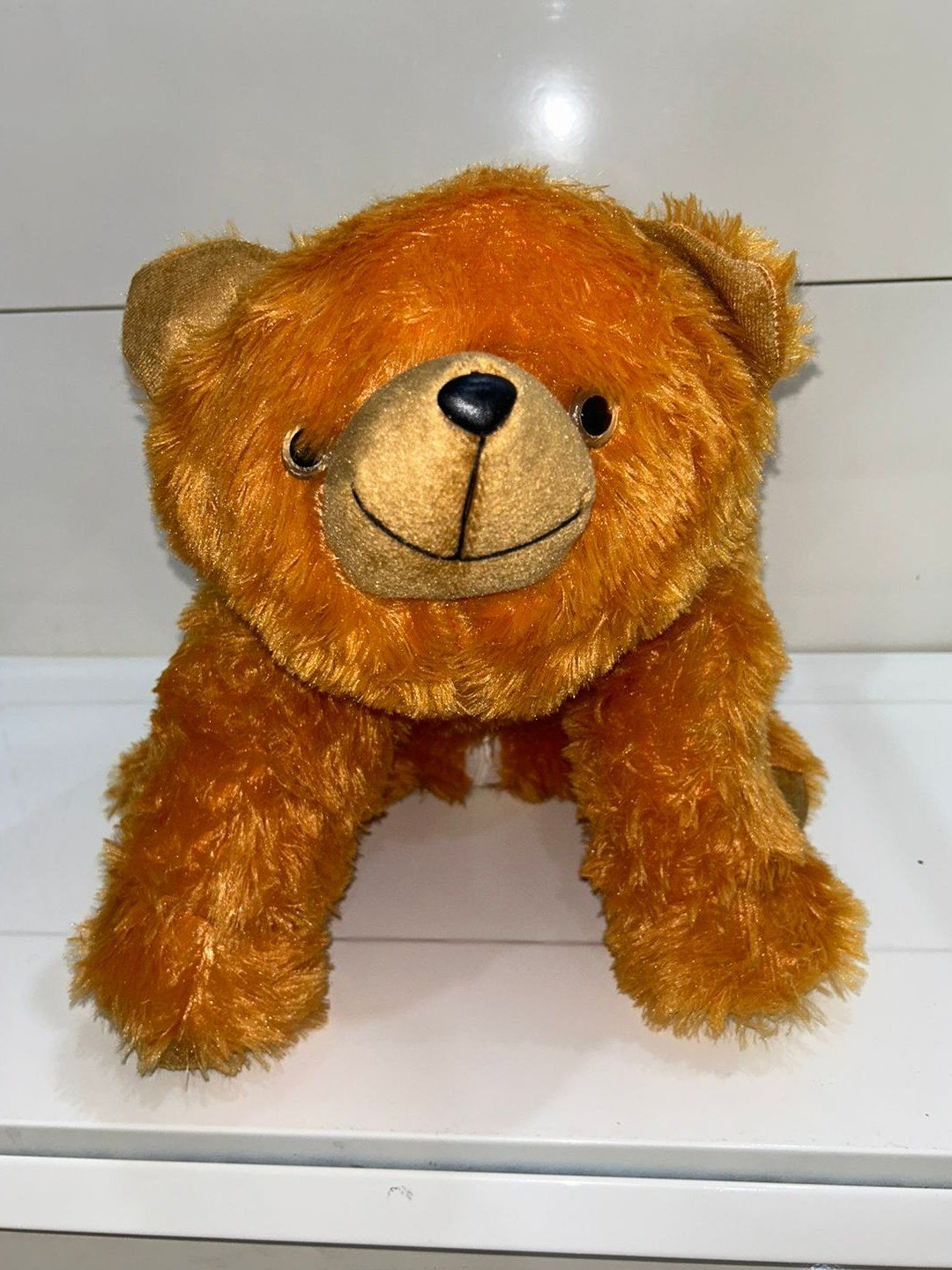 Teddy Bear