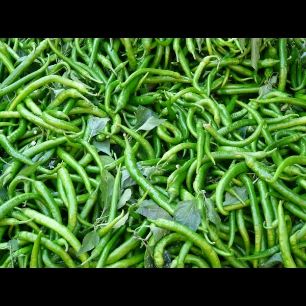 मिर्च / Chilli  - 1Kg